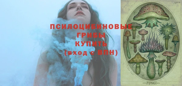 дурь Волоколамск