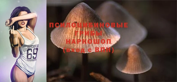 дурь Волоколамск