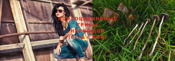 дурь Волоколамск