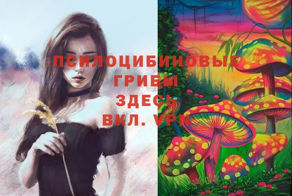 дурь Волоколамск