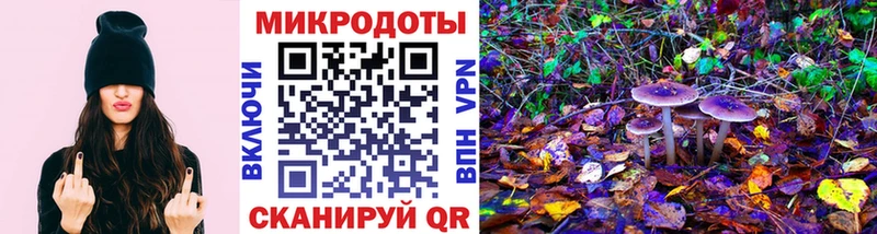 Псилоцибиновые грибы Cubensis  Каргат 