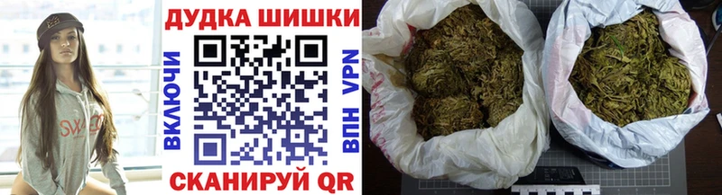 Канабис семена  где можно купить   Каргат 
